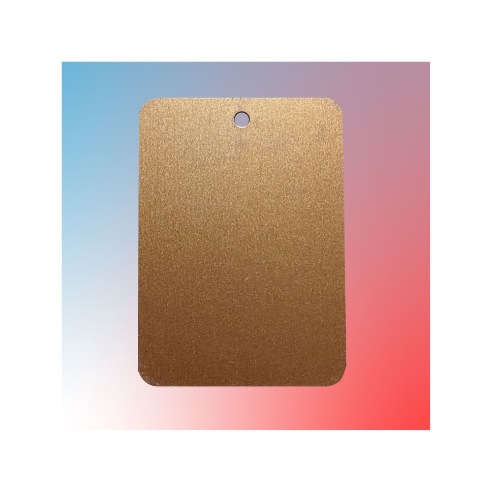 3" Color Sample Chip